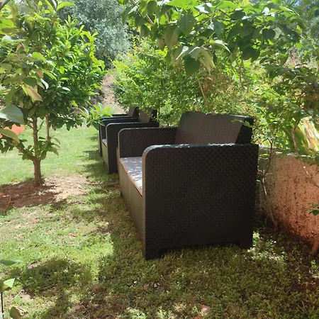 Casa Dos Fetos Varanda Panoramica & Natureza * Ourém