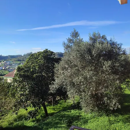 度假居 Casa Dos Fetos Varanda Panoramica & Natureza *