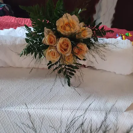 Casa Dos Fetos Varanda Panoramica & Natureza *