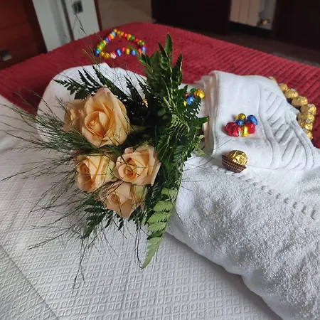 Casa Dos Fetos Varanda Panoramica & Natureza *