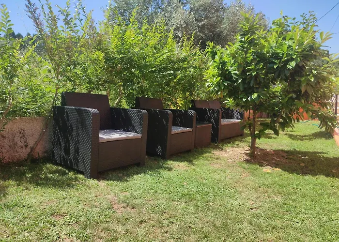 Casa Dos Fetos Varanda Panoramica & Natureza 別荘 *