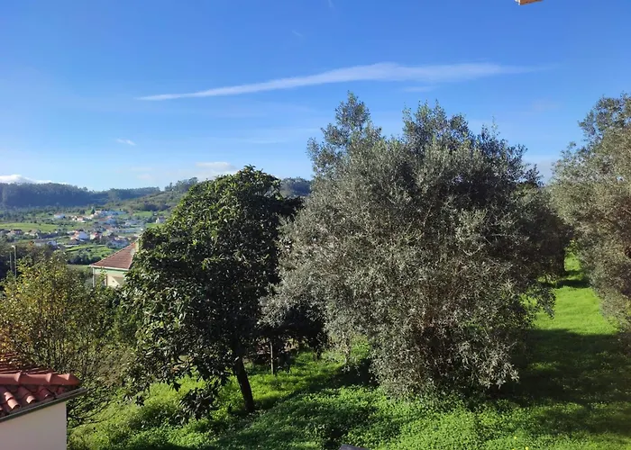 別荘 Casa Dos Fetos Varanda Panoramica & Natureza *