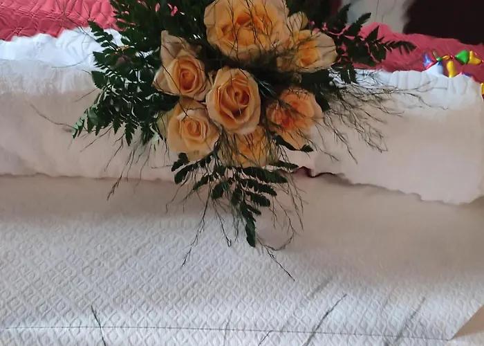 Casa Dos Fetos Varanda Panoramica & Natureza *